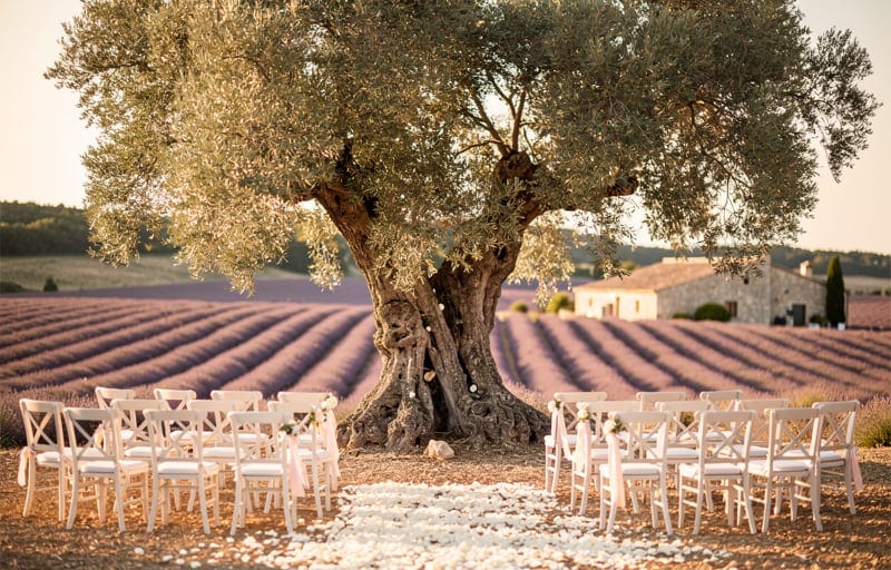 Châteaux et bastides : le prestige des vieilles pierres